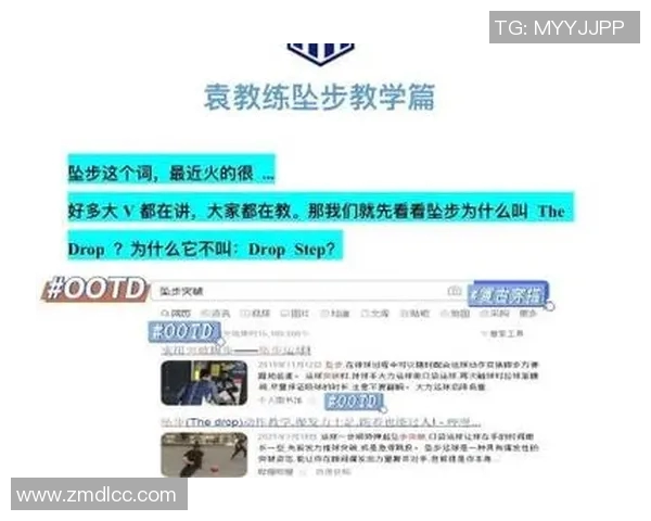 深入分析重庆篮球队区域防守战术的特点与应用策略