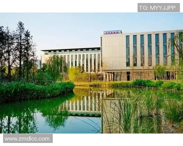 杭州极限运动队比赛经验分析与数据挖掘探讨