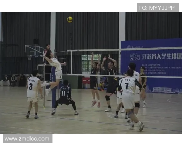 南京排球队在全国排球技术排行榜中荣获第七名展现实力与潜力