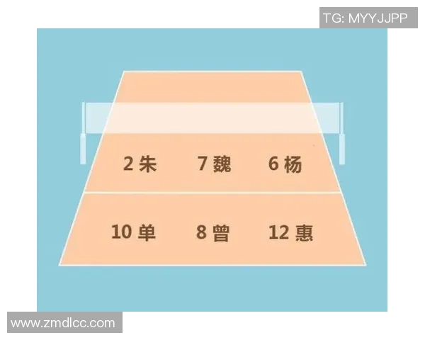 广州排球队反击战术分析与得失总结探讨