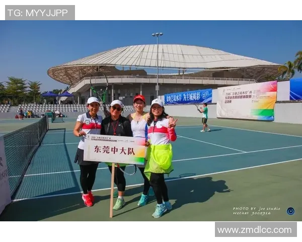 南京网球队团队协作的成功经验与挑战分析探讨